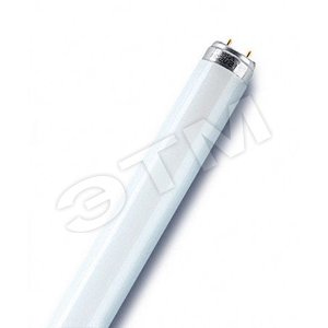 T26 36W/765 G13 GENERAL ELECTRIC